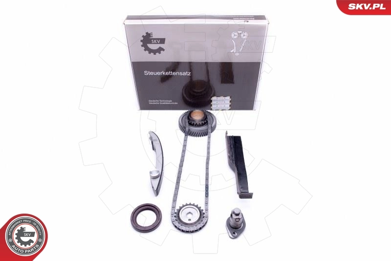Timing Chain Kit